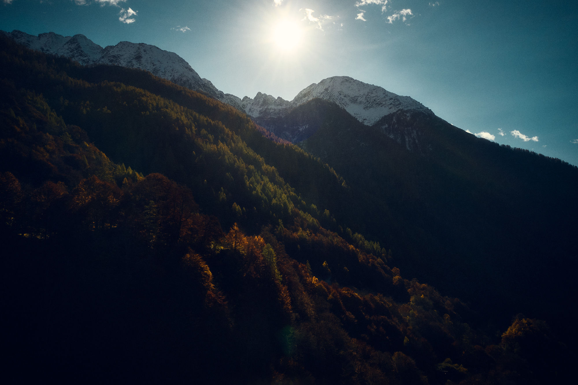 Daniel_Pelka_Defender_1