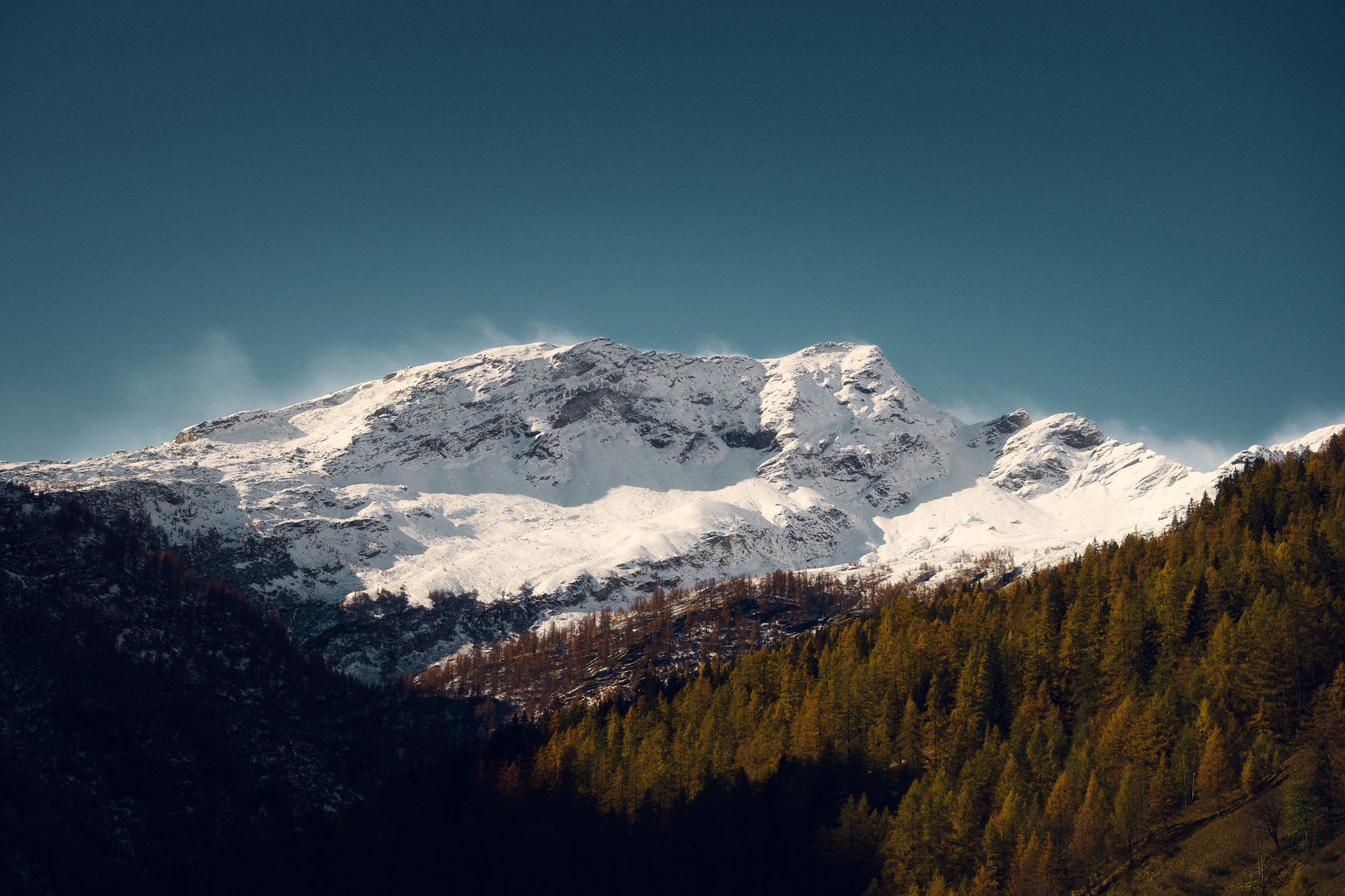 Daniel_Pelka_Defender_4